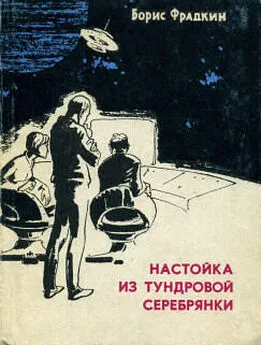 Борис Фрадкин - Настойка из тундровой серебрянки (сборник рассказов)