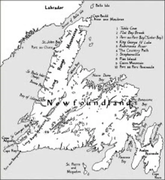 Ньюфаундленд КРАТКАЯ ХРОНОЛОГИЯ Посвящается Вилхьямуру Стефанссону Томасу - фото 8