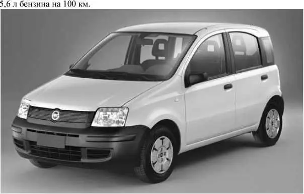 Рис 54 Fiat Panda небольшой комфортный автомобиль Одними из наиболее - фото 32
