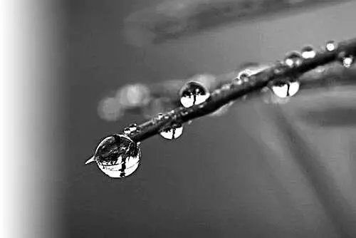 Вода и целители О том что воду можно заряжать большинство из нас узнало - фото 5