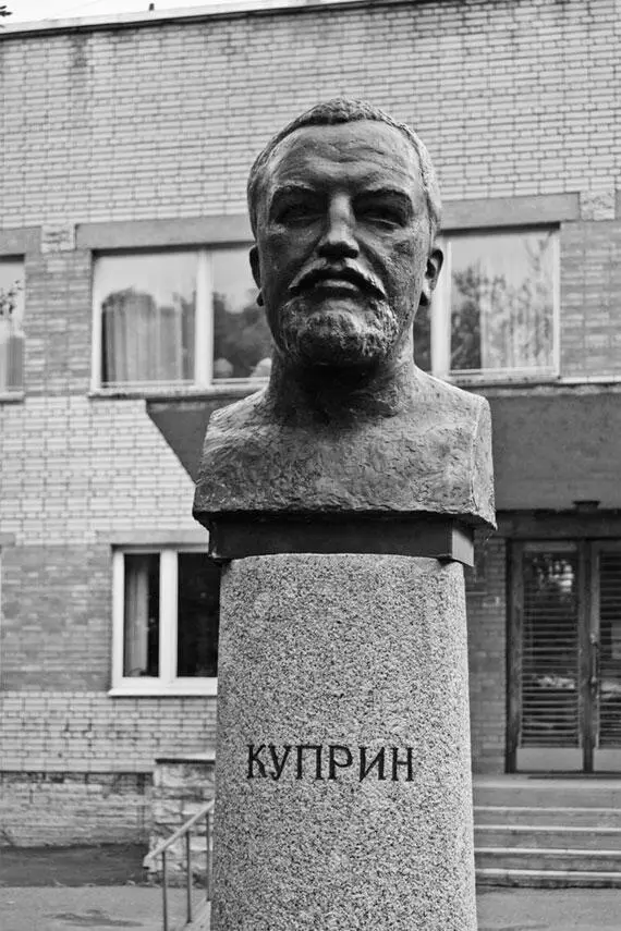 Гатчина От прошлого к настоящему История города и его жителей - фото 312