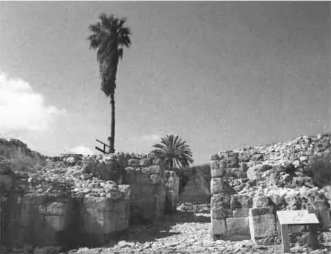 Раскопки Мегиддо Израиль Раскопки Хацора Израиль Руины древней - фото 37