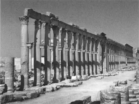 Руины древней Пальмиры Сирия Святая Maкеда царица Савская Современная - фото 40