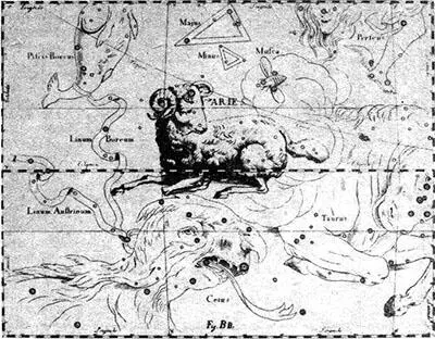 Рис 46а Созвездие Овна атлас ГевелияСтеха Телец Taurus очень старое - фото 56