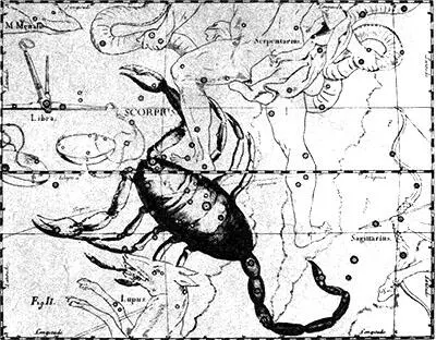 Рис 53 Созвездие Скорпиона атлас ГевелияСтеха У жителей тихоокеанских - фото 64