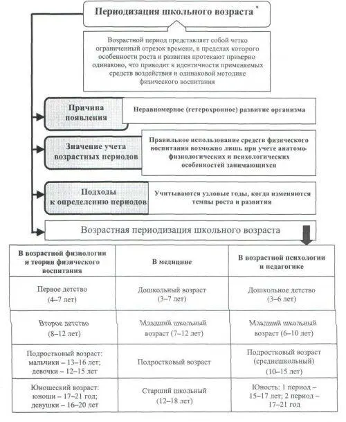 Рис 3 Периодизация школьного возраста Рис 4 Особенности физического - фото 3