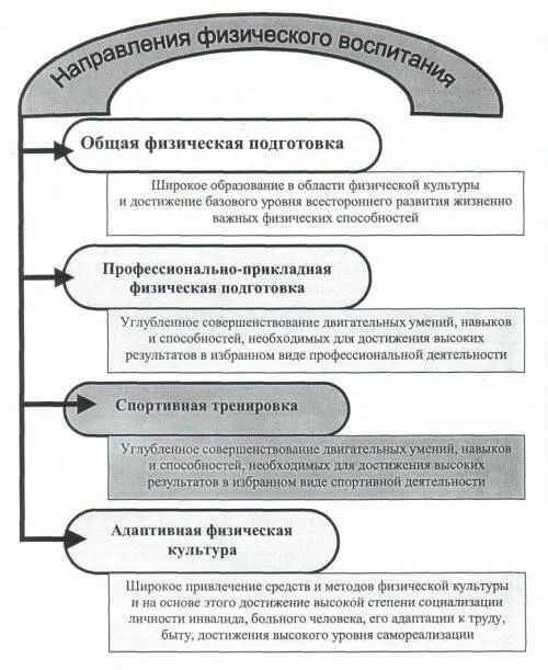 Рис 16 Профилирующие направления системы физического воспитания Организация - фото 54