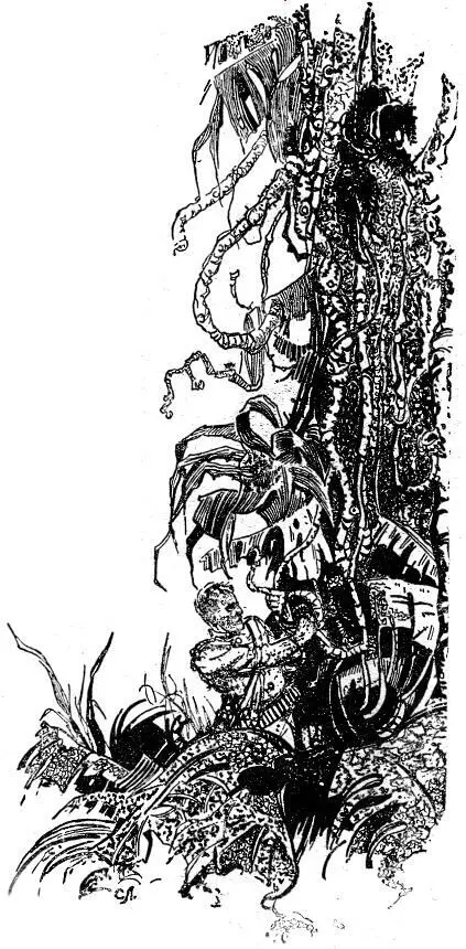 Все новые и новые пучки этих жутких щупальцев тянулись ко мне Во время этого - фото 3