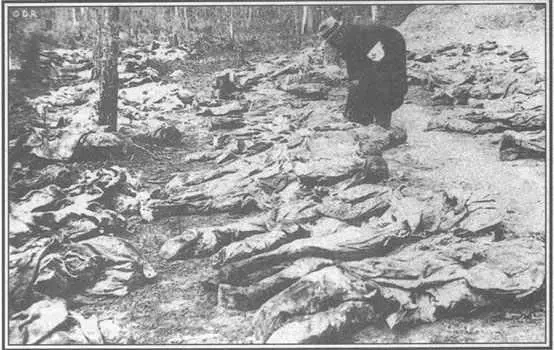 Россия Катынь апрель 1943 г Немцы обнаруживают вo рвах трупы 4500 польских - фото 28