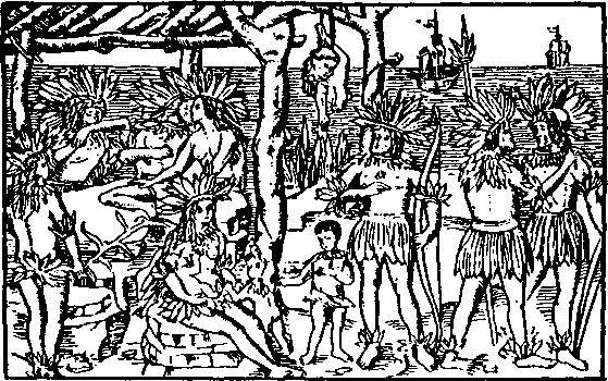 Индейцы Южной Америки с рисунка XVI века Испанцев больше всего - фото 38