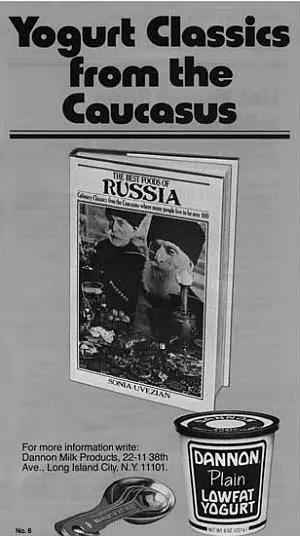 Реклама йогурта компании Данон с обложкой книги Лучшая российская еда - фото 42