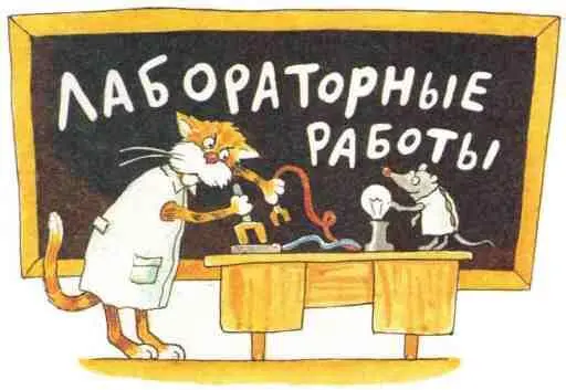 Лабораторная работа 1 Как сконструировать простейший динамометр если в одних - фото 67