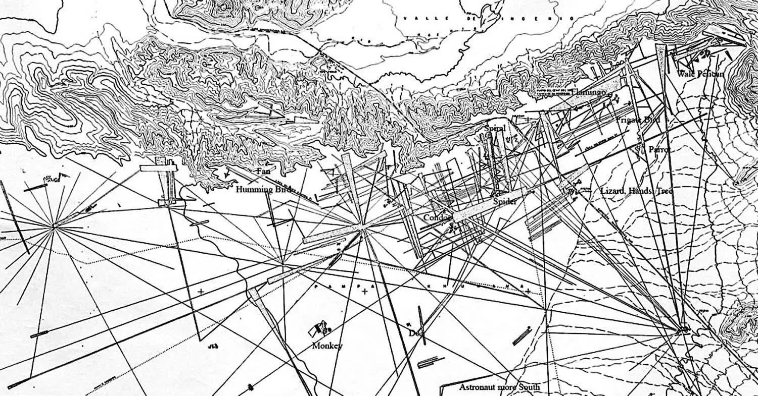 Рис 117 Общая схема расположения геоглифов на плато Наска Рис 118 - фото 37