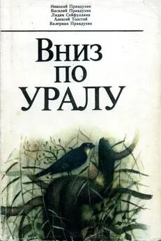 Николай Правдухин - Вниз по Уралу