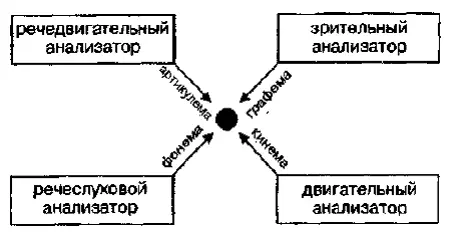 Двигательный А Р Лурия определял чтение как особую форму импрессивной речи а - фото 1