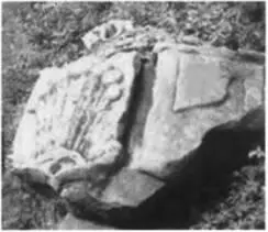 Латки Мурованны Каменная плита 1556 года с гербом Топор София Головчинская - фото 4