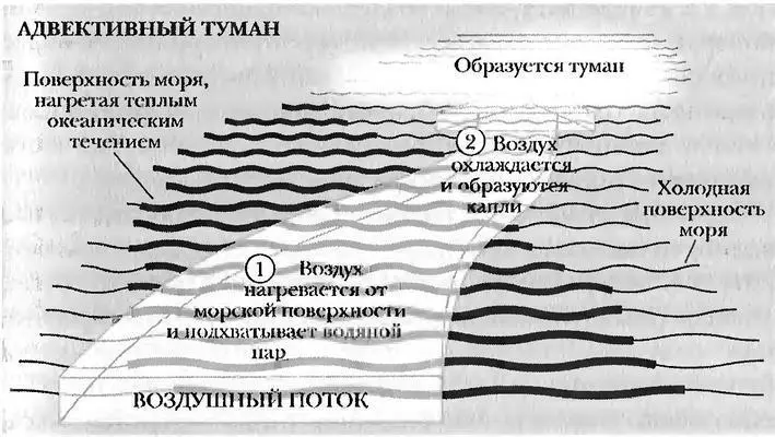 Адвективный туман возникает когда воздух переходит из области над теплой - фото 40