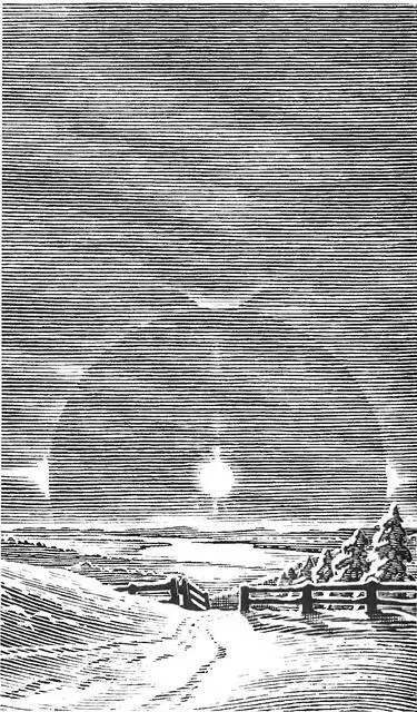 глава 10 ПЕРИСТОСЛОИСТЫЕ ОБЛАКА CIRROSTRATUS Белесая пелена высоко в небе - фото 118