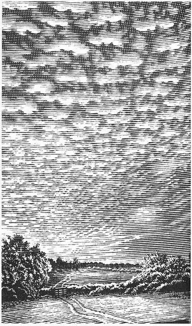 глава 5 ВЫСОКОКУЧЕВЫЕ ОБЛАКА ALTOCUMULUS Слои булочек в небе - фото 54