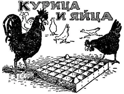 Курица которую вы видите на рисунке пытается выяснить сколько яиц она может - фото 147