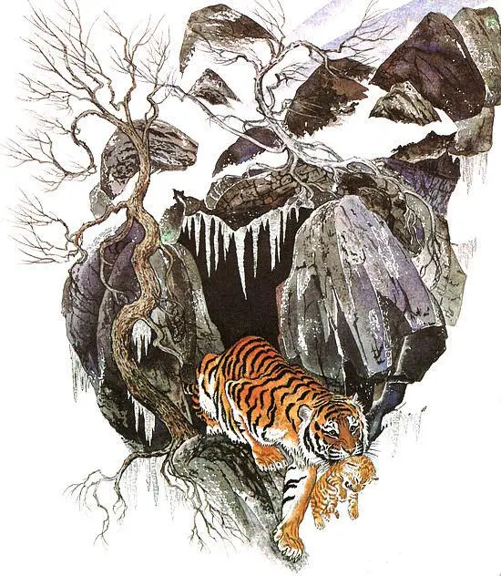 Золотая Ригма Золотая тигрица Девственный лес СихотэАлиня стынет в - фото 3