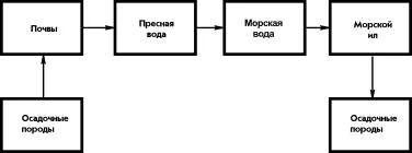 Рис 7 Принципиальная схема формирования осадочных пород по Вернадскому - фото 12