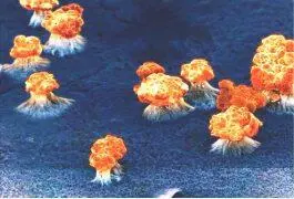 Рис 347 На верхнем левом снимке боевая ступень советской ракеты средней - фото 325