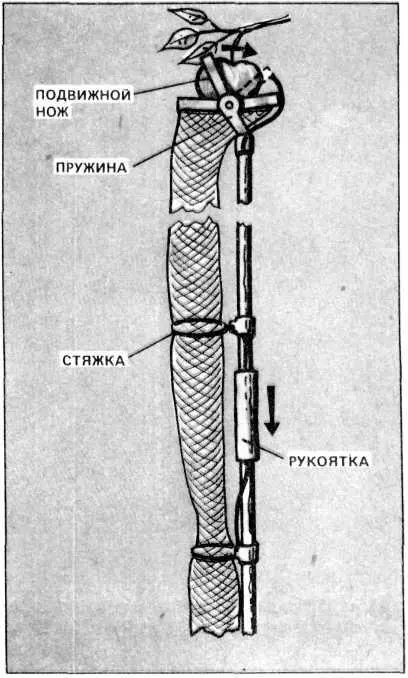 Рис 2 А вот такой резак с эластичным плодопроводом рис 2 более удобен и - фото 2