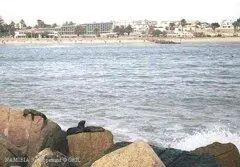 В Свакопе есть даже пляж хотя купающихся там мало Вода всего 14 Зато на - фото 569