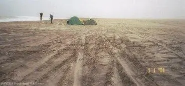 После обеда купаясь в океане я поймал мелкую рифовую акулу с крючком в зубах - фото 589