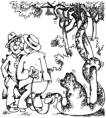 Однако глотать их приходится целиком какими бы большими они ни были Жертва - фото 11