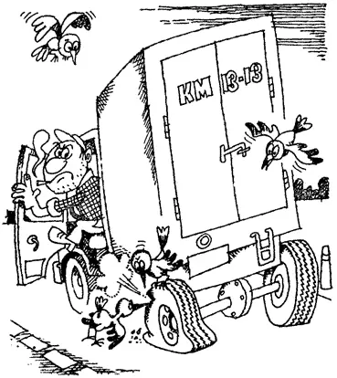 Многие насекомые специализировались на питании самыми грубыми растительными - фото 12