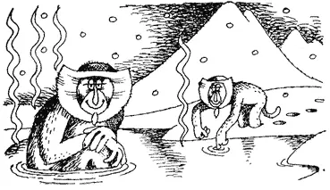 Температурный режим поверхности нашей планеты варьирует в широком диапазоне от - фото 14