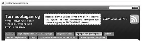 Рис 33Предложение в шапке сайта Для посетителя тут двойная выгода мало того - фото 59