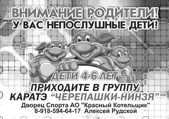 Рис 43Флаер с рекламой карате Здесь к сожалению нет сильного предложения - фото 69