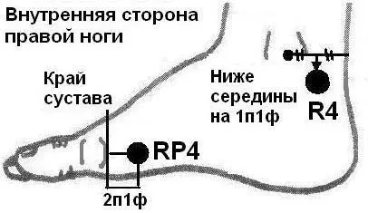 Рисунок 26 Точка Е41 6 усиление энергии желудка усиливает Ян энергию - фото 17