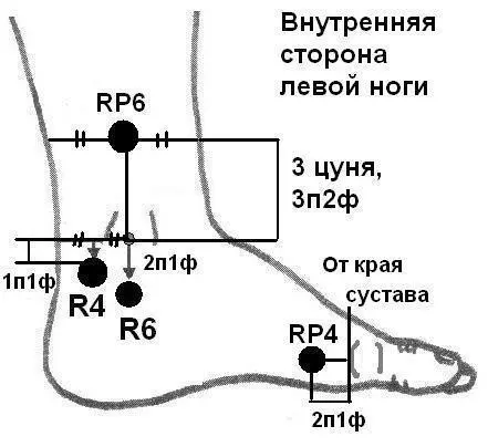 Рисунок 32 Лучше начинать греть с точек усиливающих почки как и обозначено в - фото 24