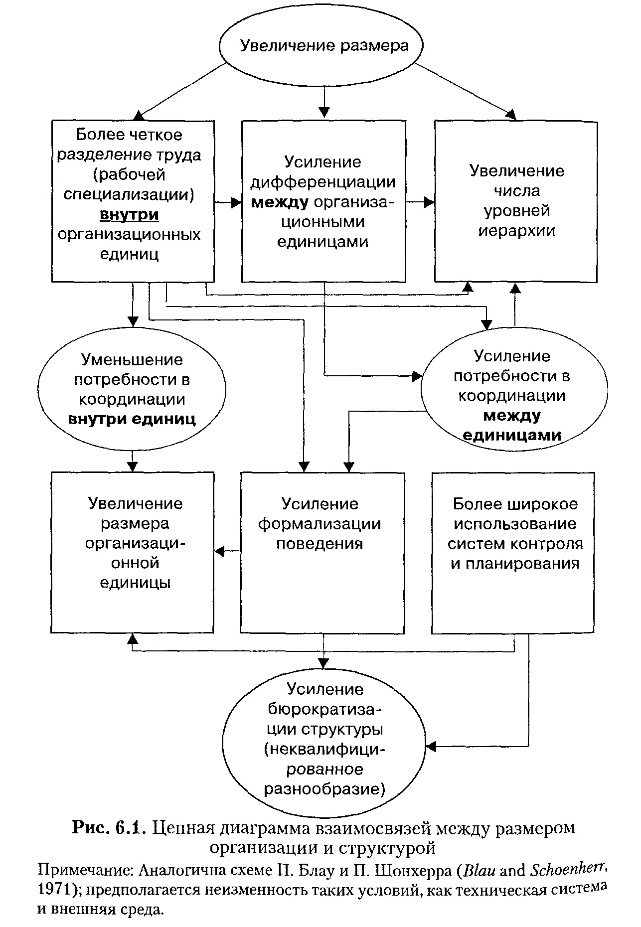 В литературе предлагается целый ряд стадий развития но повидимому все они - фото 23