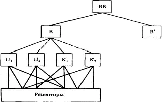 Рис 74 Иерархия классификаторов Классификатор В расположен на втором уровне - фото 40