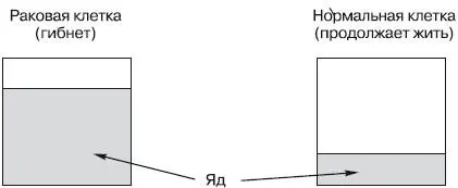 Рис 1 Схема результатов введения специального яда в организм ракового - фото 1