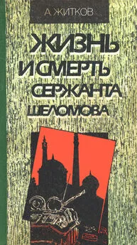 Андрей Житков - Жизнь и смерть сержанта Шеломова