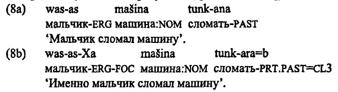 Фокусные конструкции в рассмотренных языках имеют достаточно существенные - фото 109
