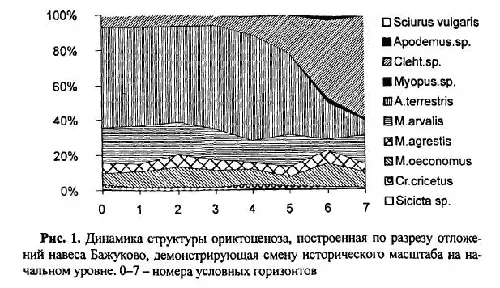 Другой пример демонстрирует продвинутый уровень исторической смены локальной - фото 21