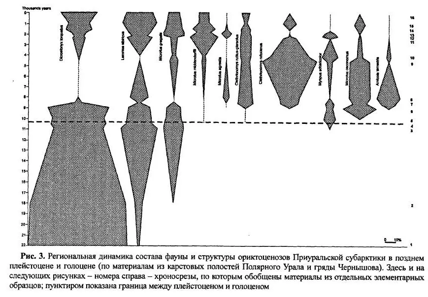 На рисунке 3 изображена динамика состава и структуры населения грызунов в - фото 23