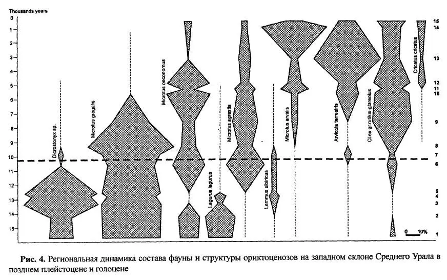 Региональная динамика этого комплекса которая к нашему времени привела к - фото 24