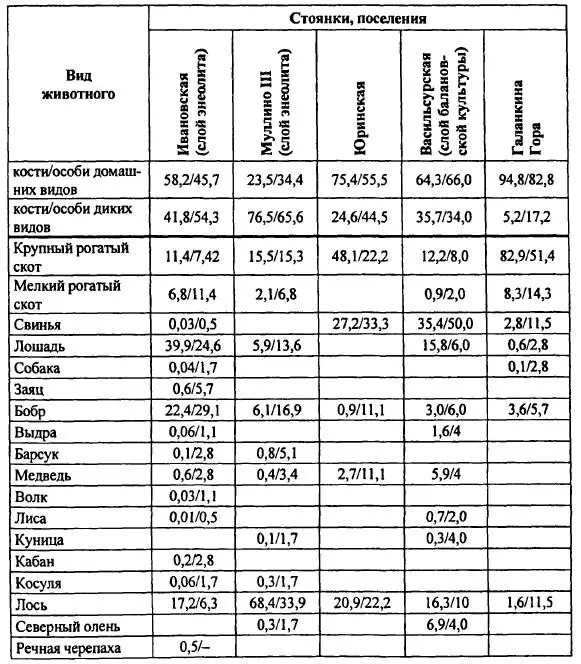 Из общего числа диагностированных костей обнаружено 697 фрагментов от 13 особей - фото 67