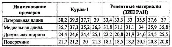 В сравнении с современными снежными баранами позднеплейстоценовые звери близ - фото 70