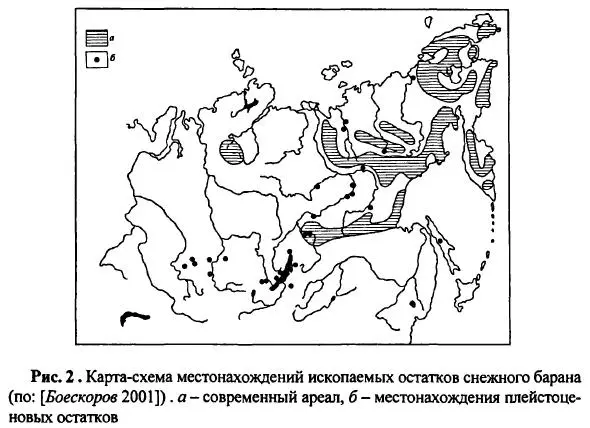 В последние годы некоторое количество костных остатков толсторого в были - фото 72