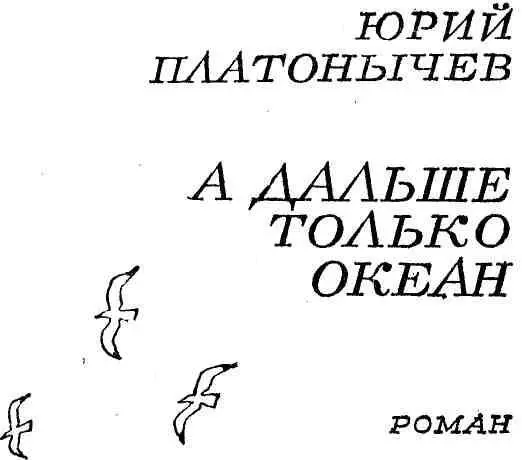 А дальше только океан - фото 4