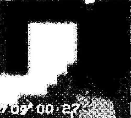 Человекоподобное существо в видеосюжете Допрос инопланетянина в Зоне51 тоже - фото 4